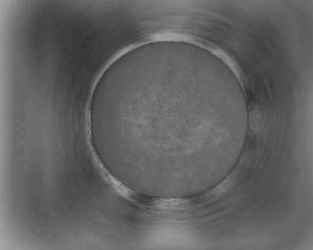 X0000071781150200607071423