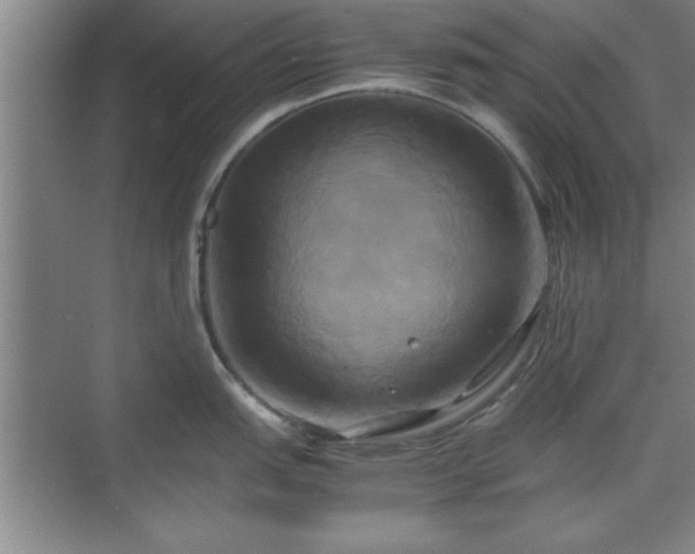 X0000071781151200607071423