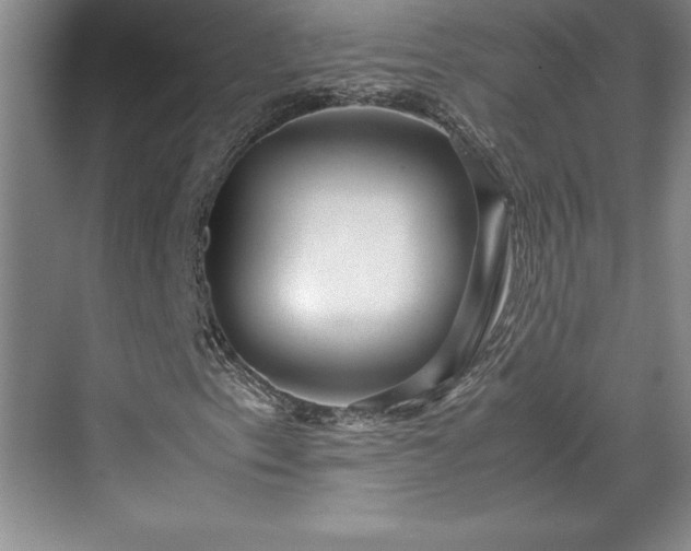 X0000071781153200607071422