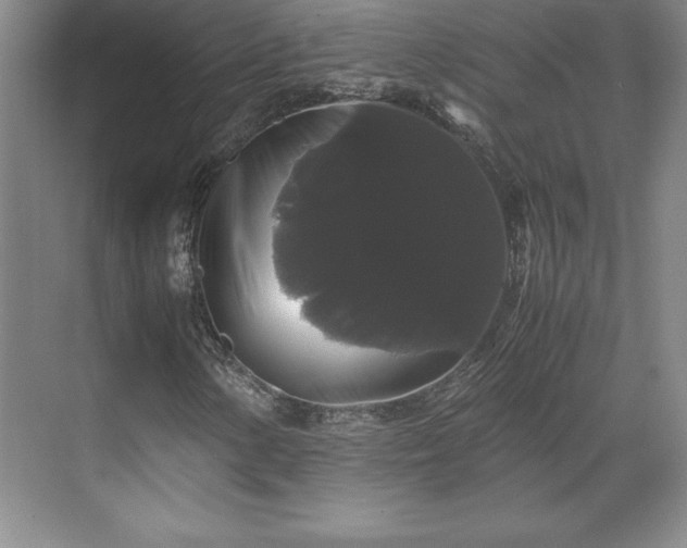 X0000071781154200607071422