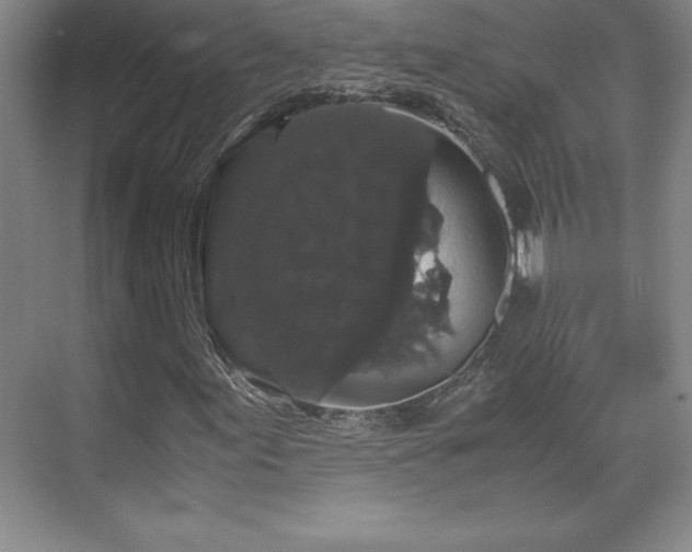 X0000071781155200607071422