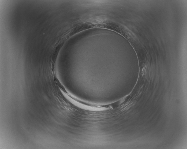 X0000071781156200607071422