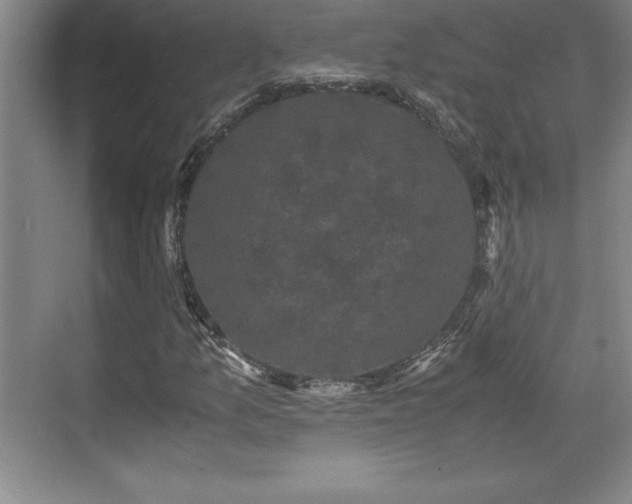 X0000071781157200607071422