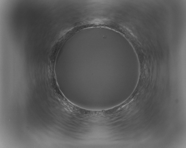 X0000071781158200607071422