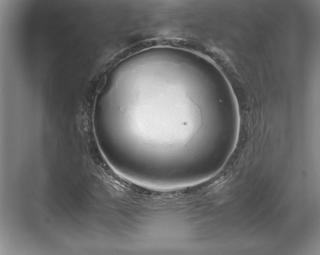 X0000071781159200607071422