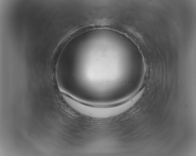 X0000071781160200607071422