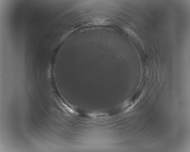 X0000071781161200607071422