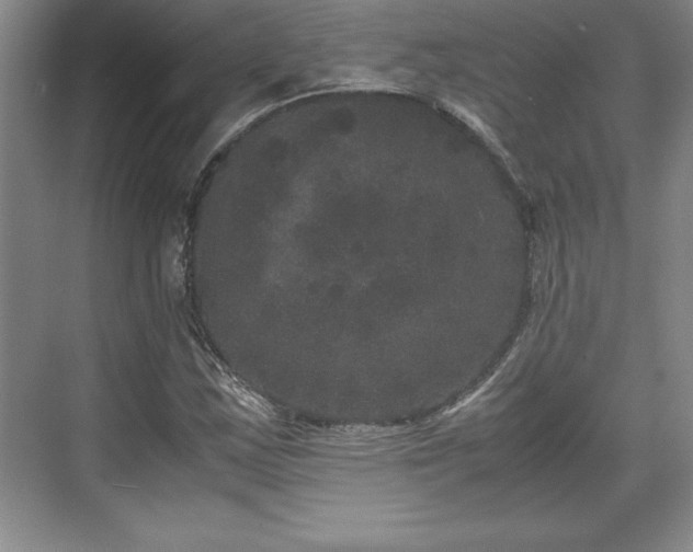 X0000071781163200607071422