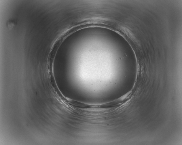 X0000071781164200607071422