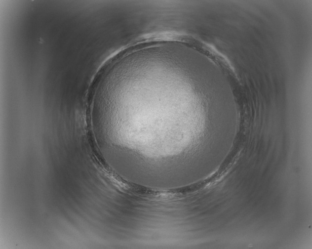 X0000071781166200607071422