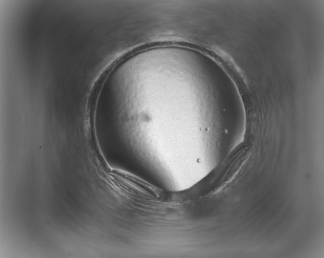 X0000071781167200607071422