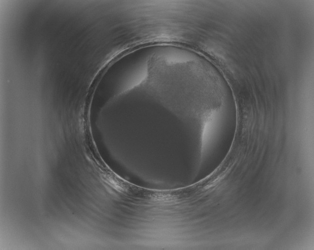 X0000071781170200607071422