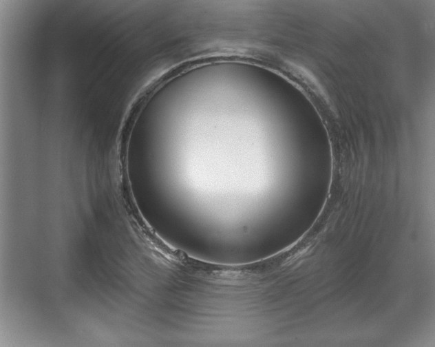 X0000071781172200607071422