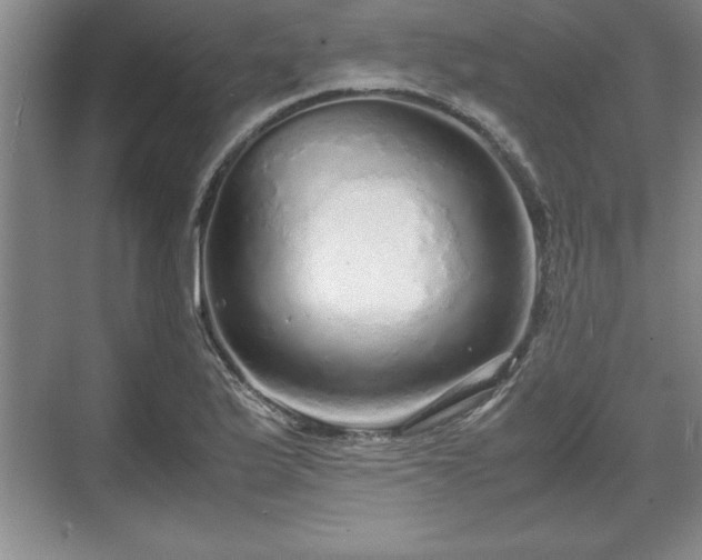 X0000071781175200607071422