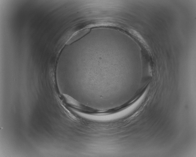 X0000071781177200607071422