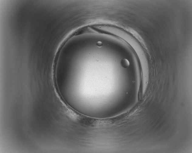 X0000071781183200607071422