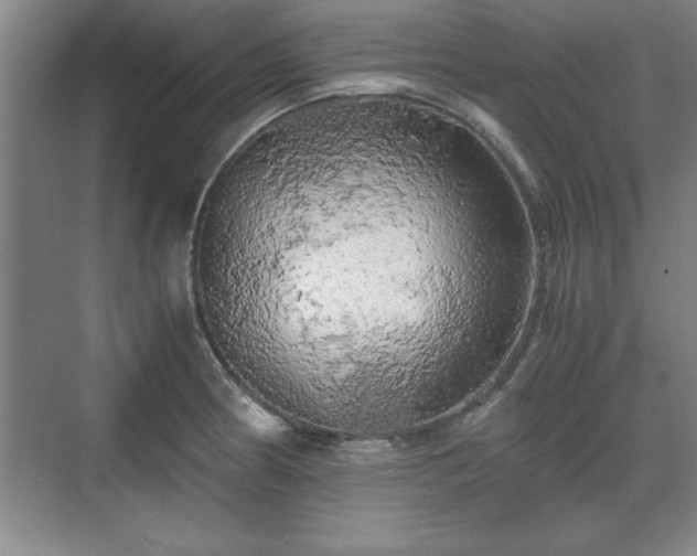 X0000071781186200607071422