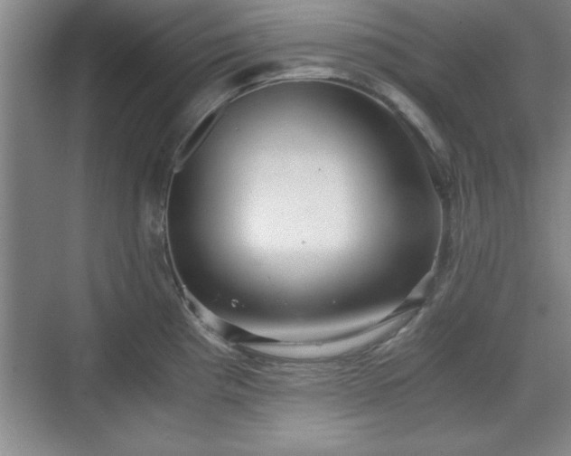 X0000071781193200607071422