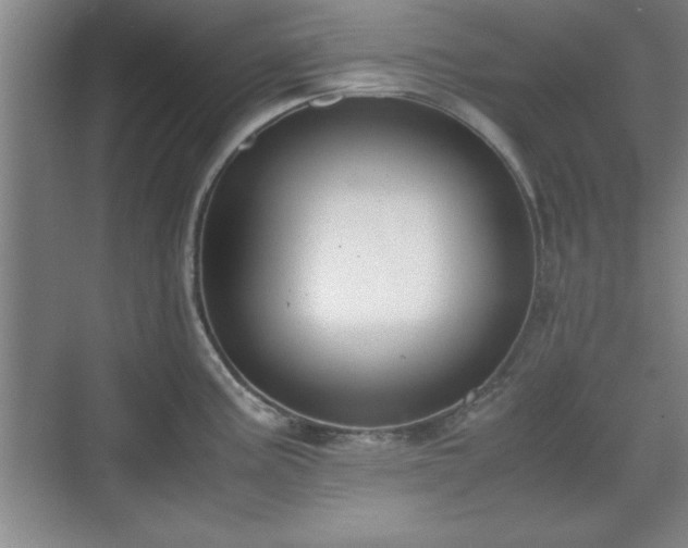 X0000071781195200607071422