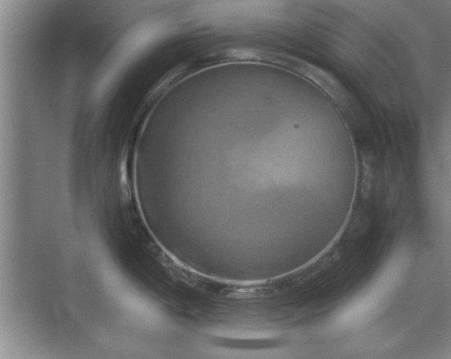 X0000071781198200607071422