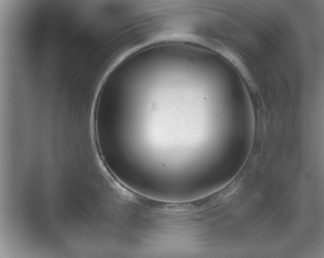 X0000071781199200607071422