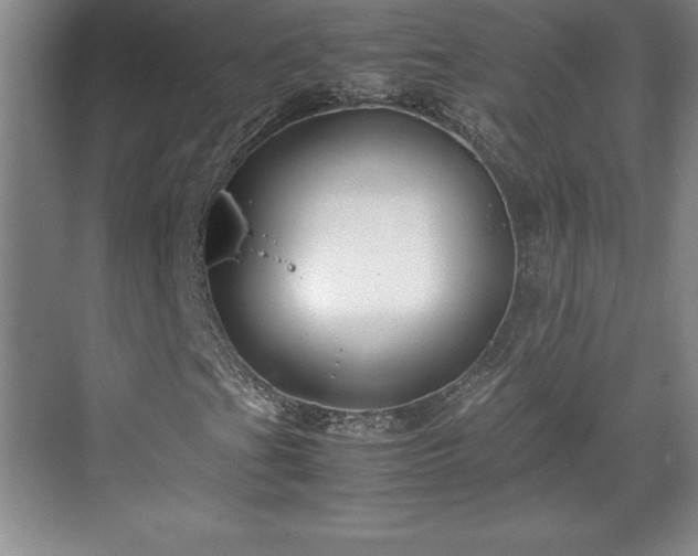 X0000071781201200607071421