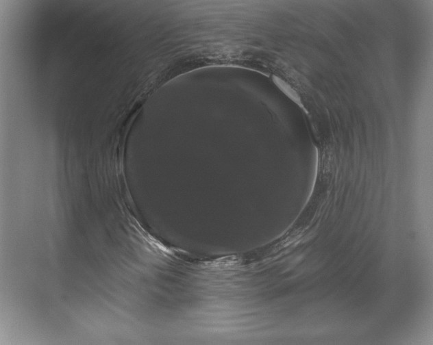 X0000071781202200607071421