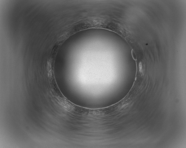 X0000071781203200607071421