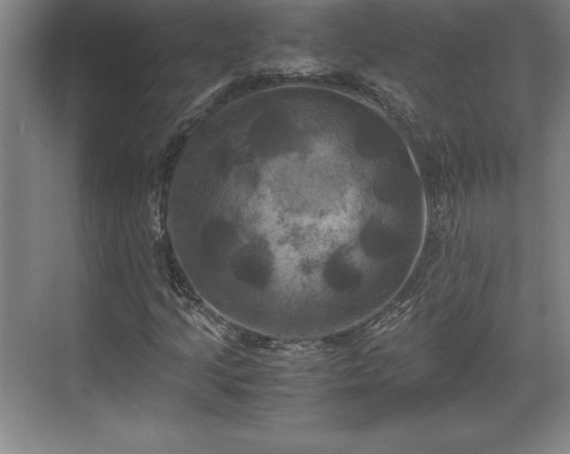 X0000071781205200607071421