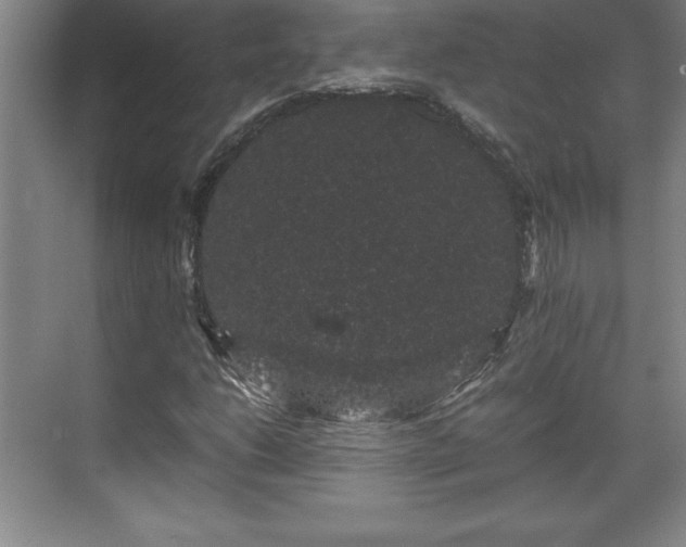 X0000071781206200607071421