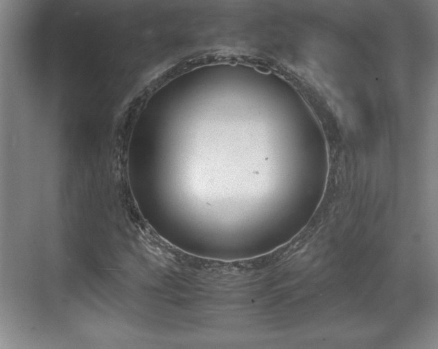 X0000071781207200607071421