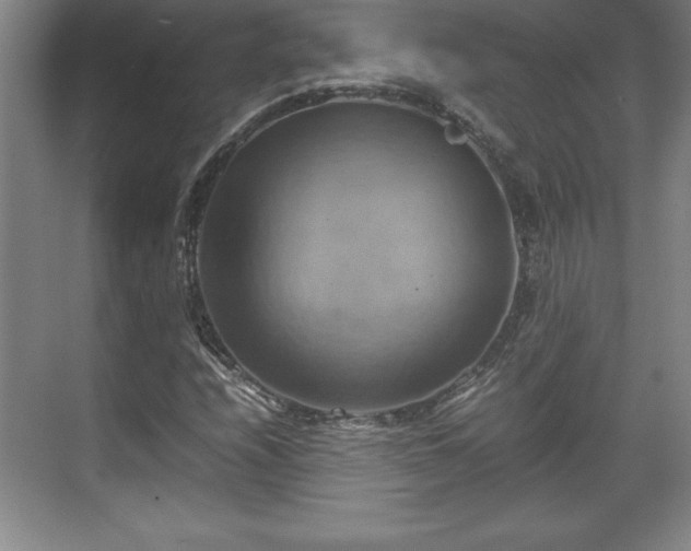 X0000071781208200607071421