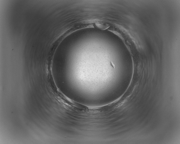 X0000071781209200607071421