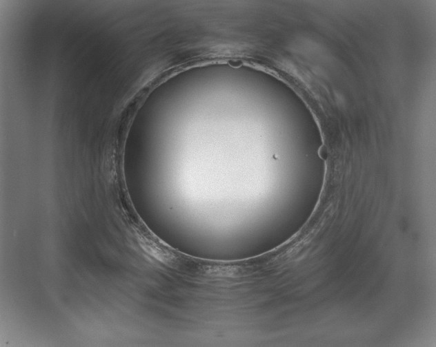 X0000071781211200607071421