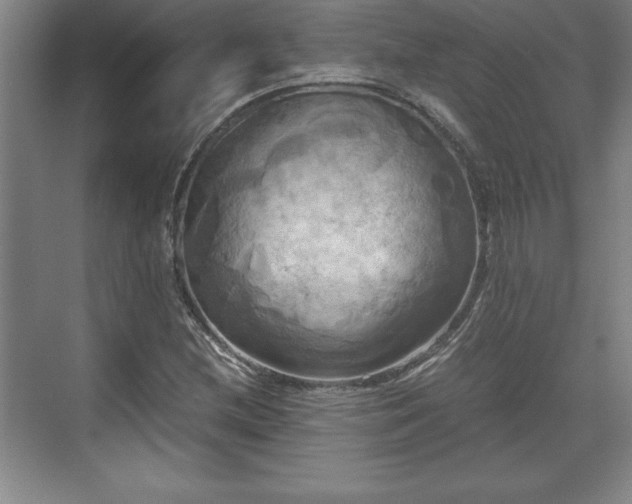 X0000071781212200607071421