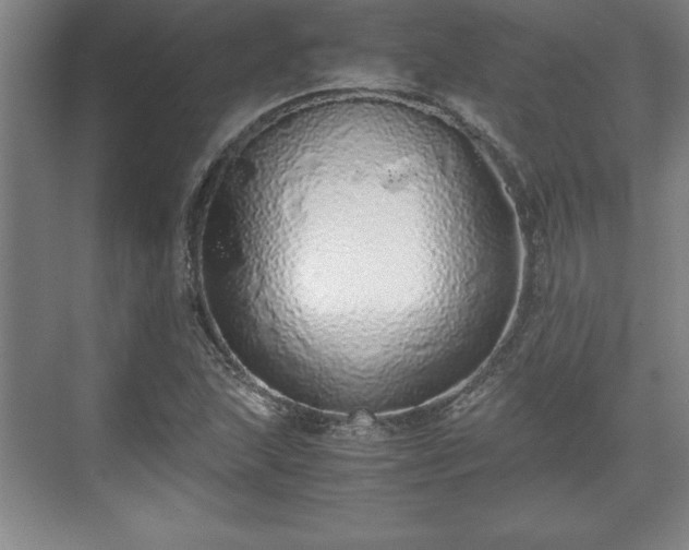 X0000071781215200607071421