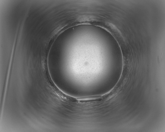 X0000071781217200607071421