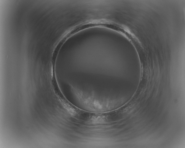 X0000071781221200607071421