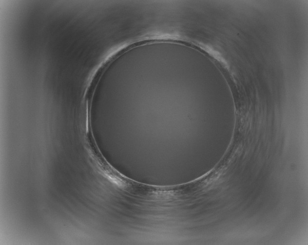 X0000071781223200607071421