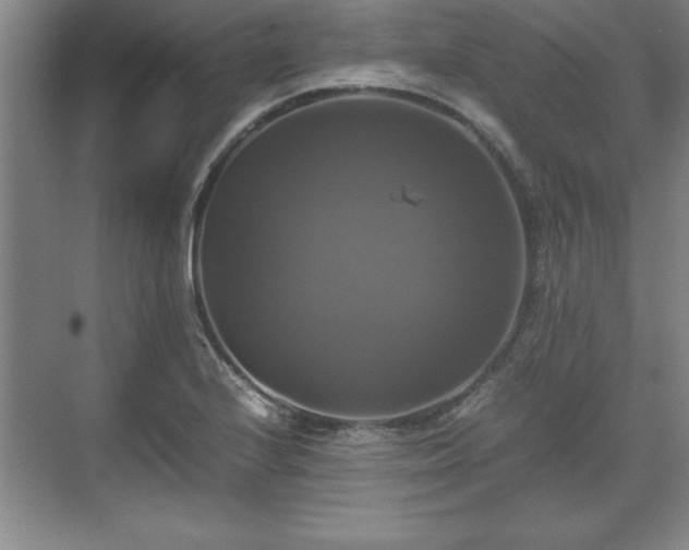 X0000071781224200607071421