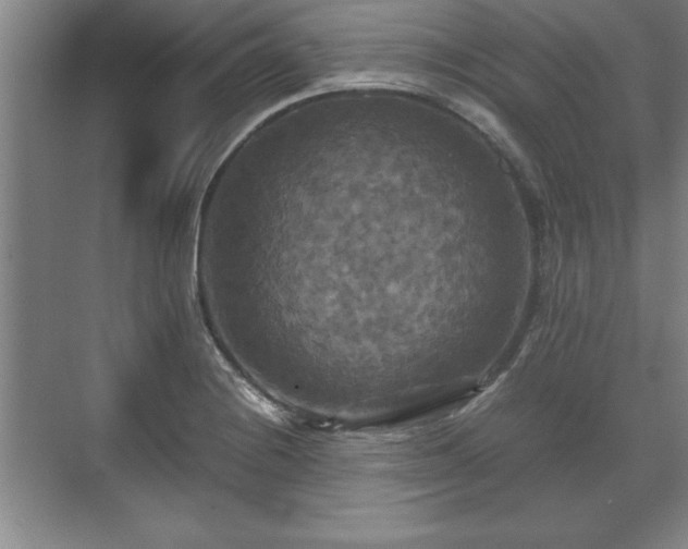 X0000071781228200607071421