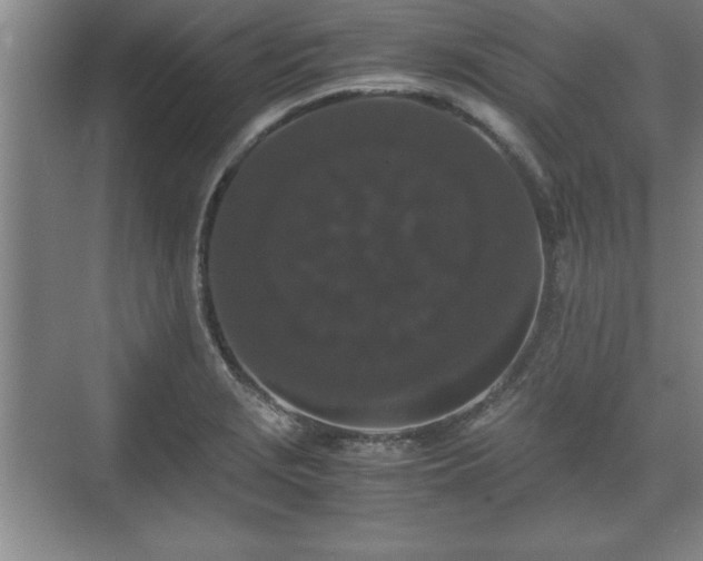 X0000071781229200607071421