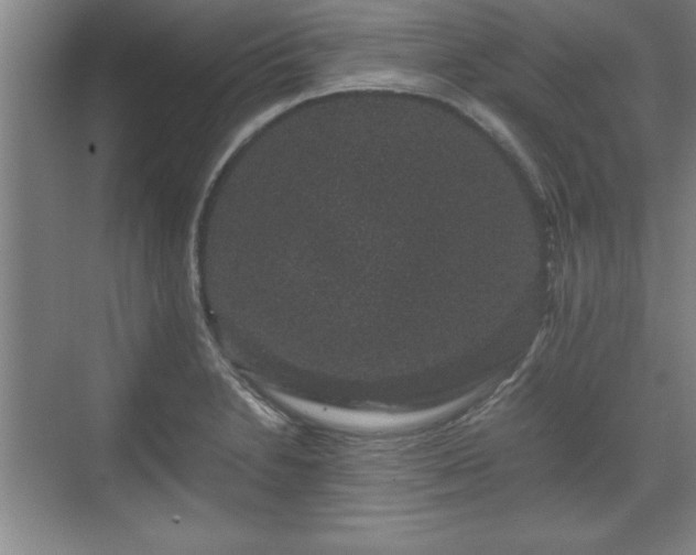 X0000071781230200607071421