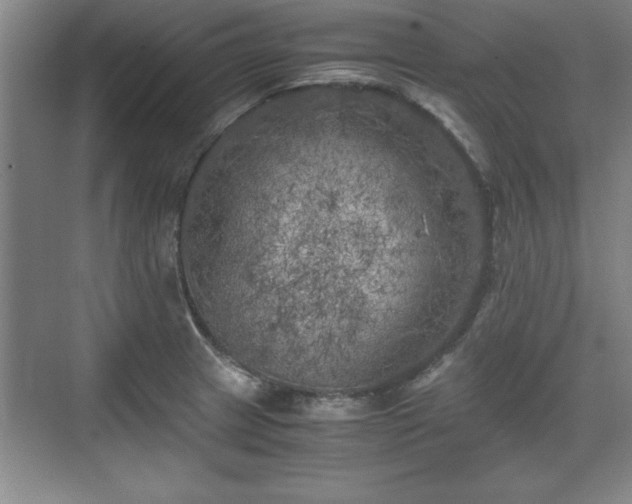 X0000071781233200607071421