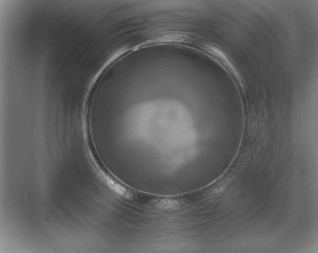 X0000071781235200607071421