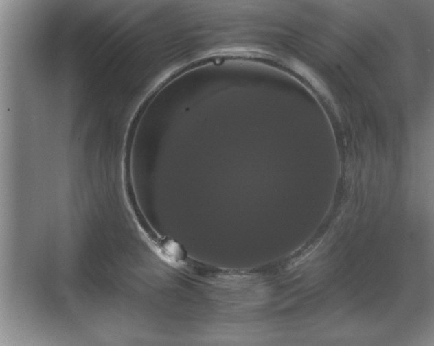 X0000071781237200607071421