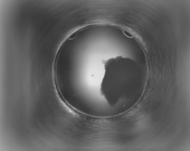 X0000071781239200607071421