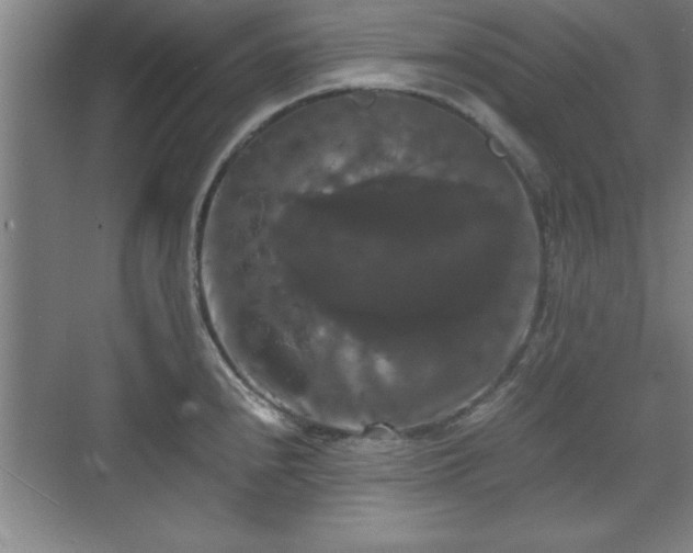 X0000071781240200607071421