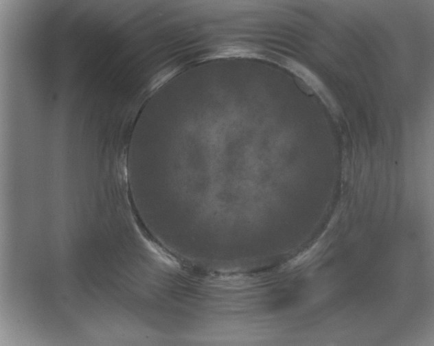 X0000071781241200607071421