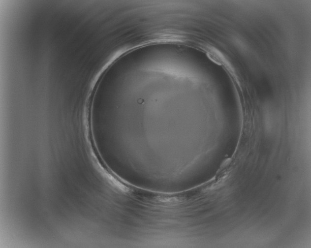 X0000071781243200607071421